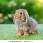 2003034期双色球开奖结果查询与中奖号码公布 au0pk