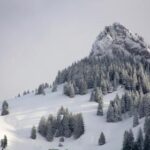 2004年全年完整彩票开奖记录详细汇总 e46j4u