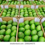 2003年福彩双色球开奖结果全记录 iehqo0