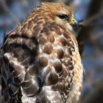 20057期足彩开奖结果揭晓,头奖花落谁家引关注 y1uascs