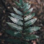 2005年中国福利彩票开奖结果全记录 yikxspf9